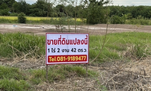 ขายที่ดินถมแล้ว เจ้าของขายเอง  ทำเลดีติดถนนซอย 2 ฝั่ง พระนครศรีอยุธยา
