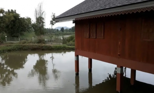 ขายที่ดินพร้อมบ้านและสวนลำไย 14 ไร่ ทำเลดีมาก อ.เมือง จ.ลำพุน