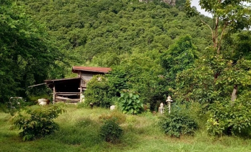 ขายด่วน! ที่ดินเปล่า ทำเลดี ใกล้เมืองนครสวรรค์ เนื้อที่ 160 ตร.ว. โทร 092-6869618