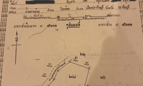 ขายสวนทุเรียน  12.5 ไร่  ตำบลโนนห้อม อำเภอเมือง จังหวัดปราจีนบุรี