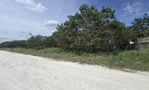 ขายที่ดิน บ้านบึง ชลบุรี 5 ไร่ 1 งาน 46 ตร.ว. ทำเลดี เหมาะลงทุน โทร 098-4282935