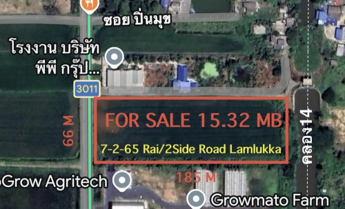 ขายที่ดิน 7 ไร่ 2 งาน 65 ตารางวา ต.พืชอุดม อ.ลำลูกกา จ.ปทุมธานี