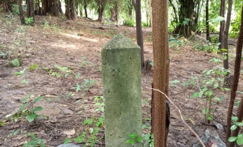 ขายด่วน! ที่ดินเปล่า ทำเลดี ใกล้เมืองนครสวรรค์ เนื้อที่ 160 ตร.ว. โทร 092-6869618