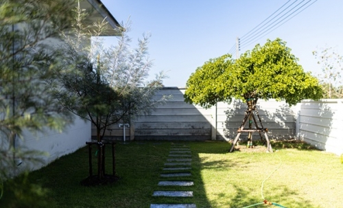 ขายบ้านเดี่ยวใหม่ ชลบุรี พนัสนิคม หนองเหียง ใกล้331 75.8ตร.ว. ฟรีโอน ทำเลดีเงียบสงบ เจ้าของขายเอง โทร 099-4464142