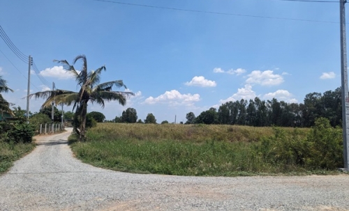 ขายที่ดิน แปลงสวย พนัสนิคม ชลบุรี ติดถนน 3 ด้าน 12-3-71 ไร่ ทำเลทอง ศุขประยูร-พนัสนิคม โทร 0818213624