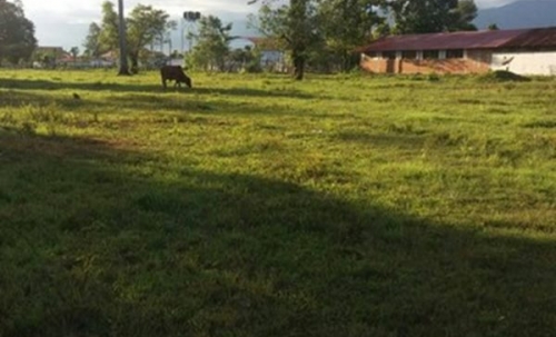 ขายที่ดินด่วนๆ ลดราคา 15 ไร่ ไคสี เมืองบึงกาฬ ใกล้สะพานมิตรภาพ ไทย-ลาว อยู่ติด ถ.ชยางกูร ติดทางเข้าวัดอาฮงศิลาวาส โทร 0632897879