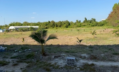 ขายที่ดิน บางนา กม.25 (พื้นที่สีแดง) เนื้อที่ 4 ไร่ 3 ตรว. ติดถนนบางนา-ตราด ฝั่งขาออก โทร 090-6360022