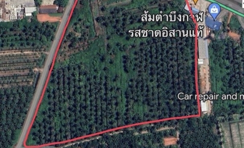 ขายที่ดินทำเลติดถนนใหญ่ หน้ากว้าง 112 เมตร ใกล้เซ็นทรัลสุราษฎร์