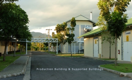 ขายโรงงาน และ สวนป่าเบญพรรณ อายุ 25 ปี อ.เขาชะเมา จ.ระยอง ราคาพิเศษ โทร 095-2601140