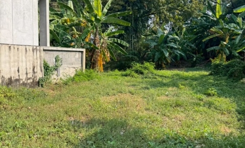 ขายที่ดินพหลโยธิน 35 แยก 19 ซอยสังข์ทอง 9 (พื้นที่สีส้ม) เนื้อที่ 6‑0‑69 ไร่ ใกล้เมเจอร์รัชโยธิน โทร 090-6360022