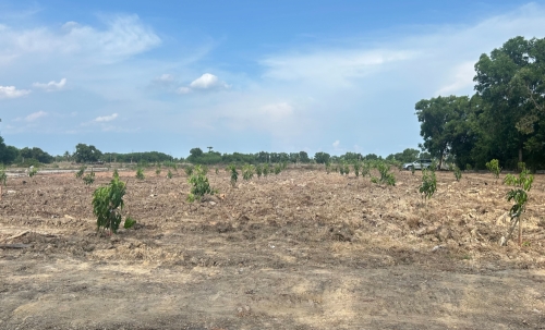 ขายที่ดินขนาด 4 ไร่ ใกล้สนามบินสุวรรณภูมิ  ตำบลคลองสวน อำเภอบางบ่อ จังหวัดสมุทรปราการ