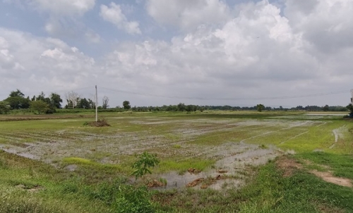 ขายที่ดิน ที่นา พิษณุโลก อำเภอวังทอง 19 ไร่ สวยมาก วิวนาสวย อากาศดี เงียบสงบ โทร 063-2825635