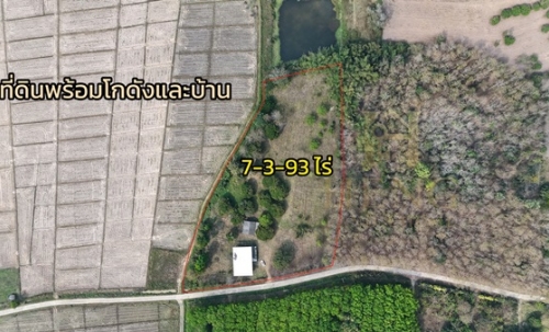 ขายที่ดินเปล่าพร้อมสิ่งปลูกสร้าง ทำเลบ้านจำปู ต.เจริญเมือง อ.พาน จ.เชียงราย โทร 081-0321111