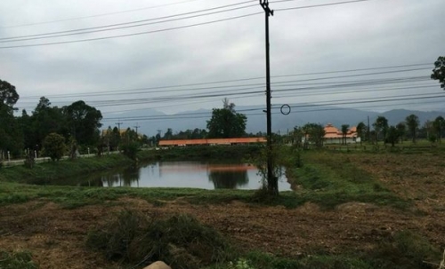 ขายที่ดินด่วนๆ ลดราคา 15 ไร่ ไคสี เมืองบึงกาฬ ใกล้สะพานมิตรภาพ ไทย-ลาว อยู่ติด ถ.ชยางกูร ติดทางเข้าวัดอาฮงศิลาวาส โทร 0632897879