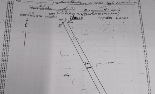 ขายด่วน! ลดกระหน่ำ ถูกสุดๆ ขายที่ดินราคาพิเศษ อ.บางเสาธง จ.สมุทรปราการ สวย ทำเลดี Tel. 092-6869618