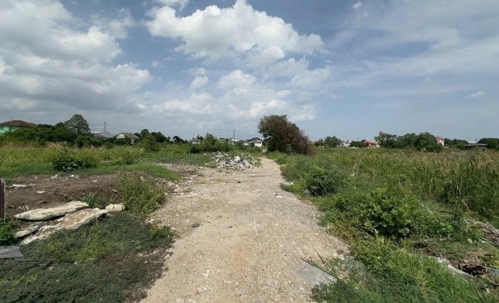 ให้เช่า ที่ดิน 282 ตรว พัฒนาการตัดใหม่ซอย 97 ถมแล้ว ทำเลดี เดินทางสะดวก