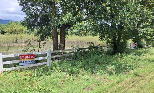 ขายที่ดินเมืองนครนายก แปลงใหญ่สวย เนื้อที่ 11 ไร่ เดินทางสะดวก รายล้อมด้วยภูเขา โทร.084-1416555