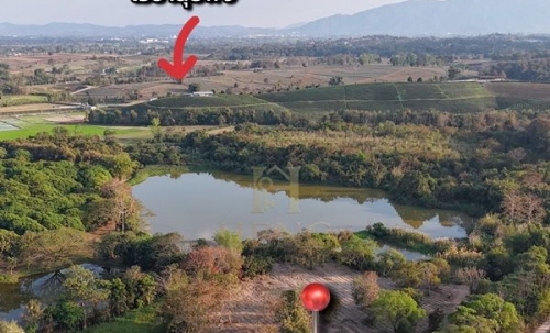 ขายที่ดิน 12 ไร่กว่า ทำเลศักยภาพ ใกล้แหล่งท่องเที่ยว จ.เชียงราย อ.แม่จัน ต.ศรีค้ำ เดินทางสะดวก โทร 081-0321111