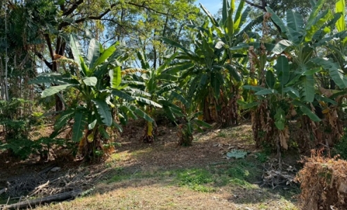 ขายที่ดินพหลโยธิน 35 แยก 19 ซอยสังข์ทอง 9 (พื้นที่สีส้ม) เนื้อที่ 6‑0‑69 ไร่ ใกล้เมเจอร์รัชโยธิน โทร 090-6360022