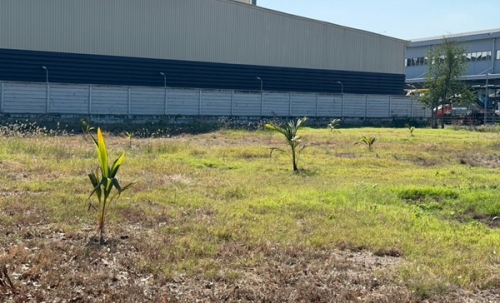 ขายที่ดิน บางนา กม.25 (พื้นที่สีแดง) เนื้อที่ 4 ไร่ 3 ตรว. ติดถนนบางนา-ตราด ฝั่งขาออก โทร 090-6360022