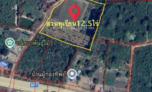 ขายสวนทุเรียน  12.5 ไร่  ตำบลโนนห้อม อำเภอเมือง จังหวัดปราจีนบุรี