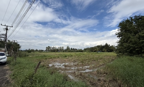 แบ่งขายที่ดิน 14 แปลง ขนาด 75-122 ตารางวา ตั้งอยู่ที่ ตำบลแม่ปูคา อำเภอสันกำแพง จังหวัดเชียงใหม่ (เจ้าของขายเอง) โทร 0806169615