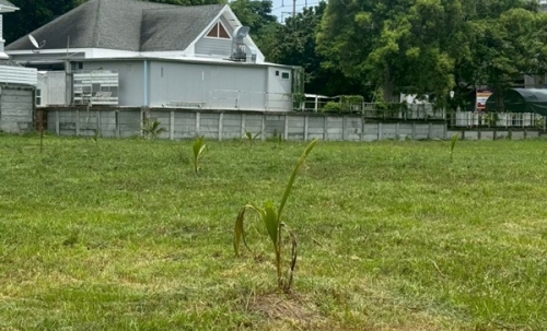 ขายที่ดิน บางนา-ตราด กม.7 พื้นที่ 3-0-47 ไร่ ทำเลศักยภาพ ใกล้เมือง เดินทางสะดวก ใกล้เมกาบางนา โทร 090-6360022