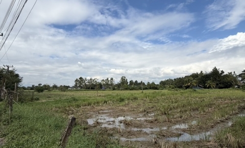 แบ่งขายที่ดิน 14 แปลง ขนาด 75-122 ตารางวา ตั้งอยู่ที่ ตำบลแม่ปูคา อำเภอสันกำแพง จังหวัดเชียงใหม่ (เจ้าของขายเอง) โทร 0806169615