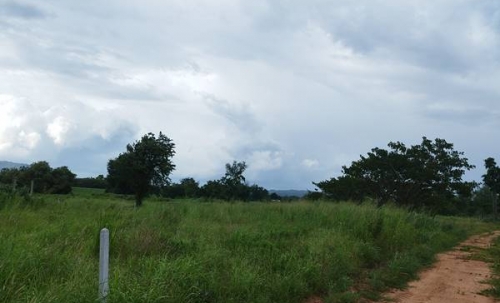 ขายที่ดิน ลดราคา 2 ไร่ สวย ที่ไทรโยค กาญจนบุรี เหมาะกับคนรักความสงบ พักผ่อน ทำสวน โทรคุยเลย 0810117012