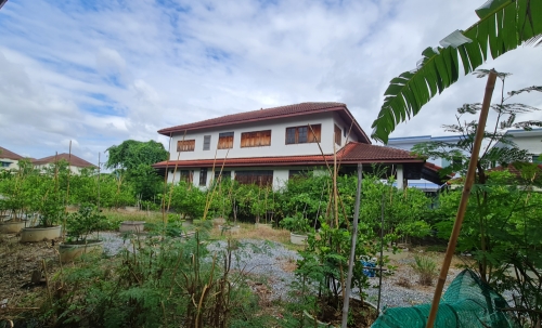 [ขายด่วน] ที่ดินแปลงใหญ่ 498 ตร.ว. พร้อมบ้านหลังใหญ่ ติดคลอง บรรยากาศร่มรื่น ย่านบางกรวย